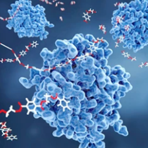 Protein Biomarkers