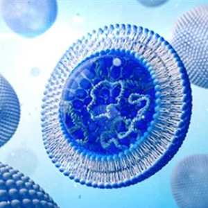 Oncogenic Virus Associated Biomarkers