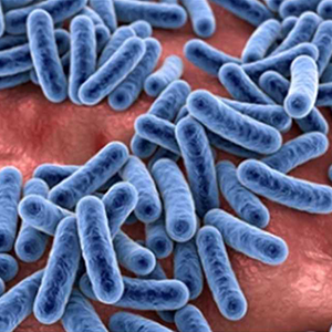 Microbial Community Biomarkers