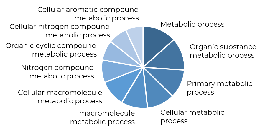 miRNA Profiling in DEN-Induced Mouse Model of Primary Hepatocellular ...